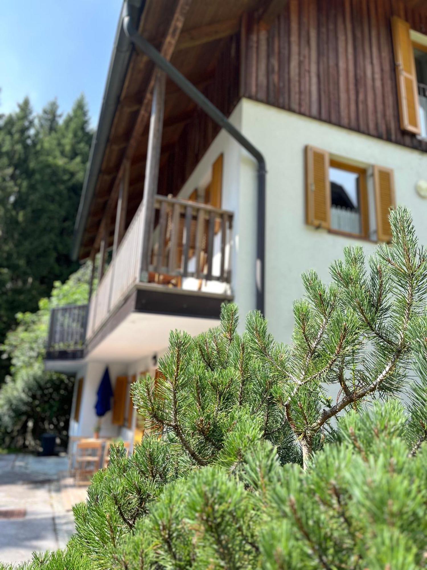 Chalet Harmony Rogla - Apartment Zrece Exterior photo
